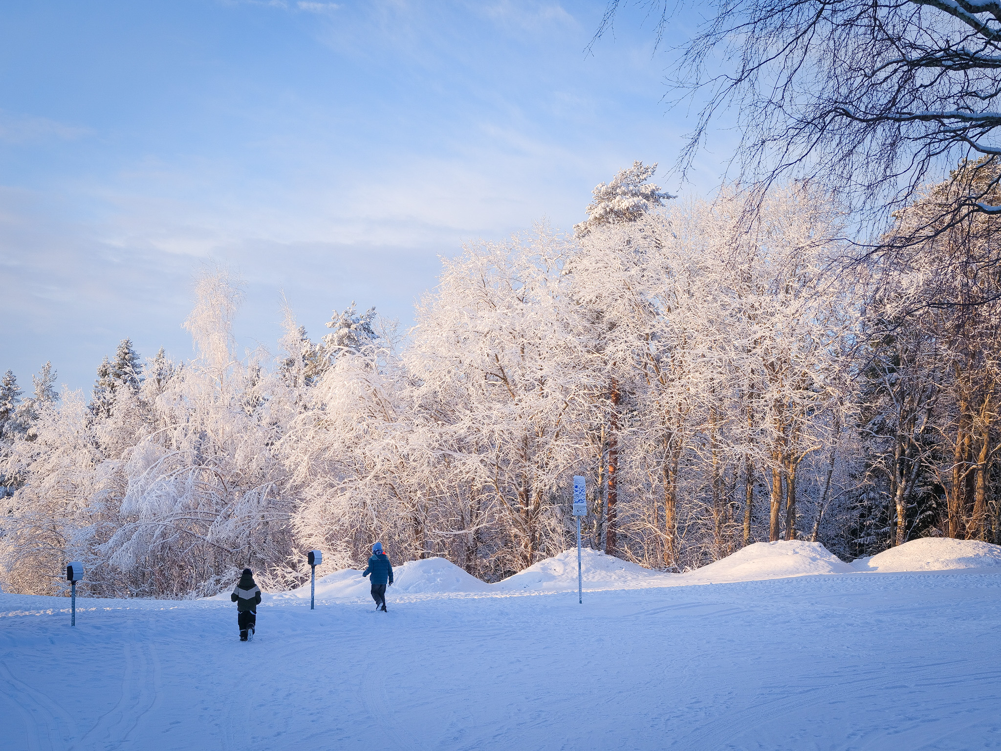 Vinterland Umeå Gammlia